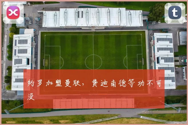 约罗加盟曼联，费迪南德等功不可没