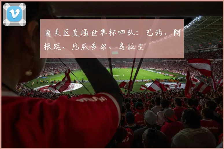 南美区直通世界杯四队：巴西、阿根廷、厄瓜多尔、乌拉圭