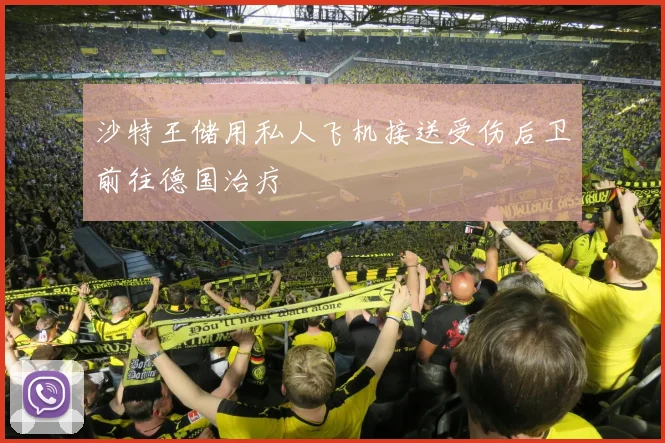 沙特王储用私人飞机接送受伤后卫前往德国治疗
