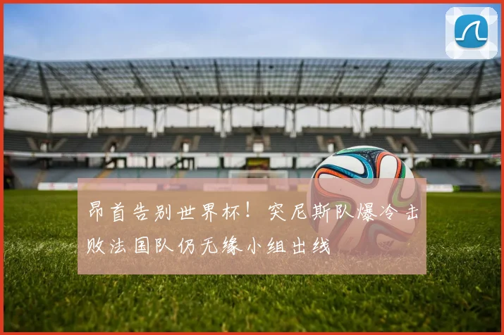 昂首告别世界杯！突尼斯队爆冷击败法国队仍无缘小组出线