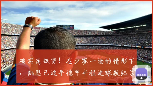 确实高级货！在少赛一场的情形下，凯恩已追平德甲半程进球数纪录